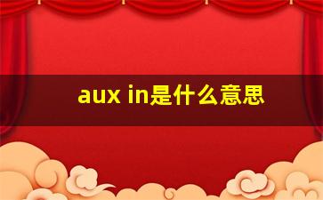 aux in是什么意思